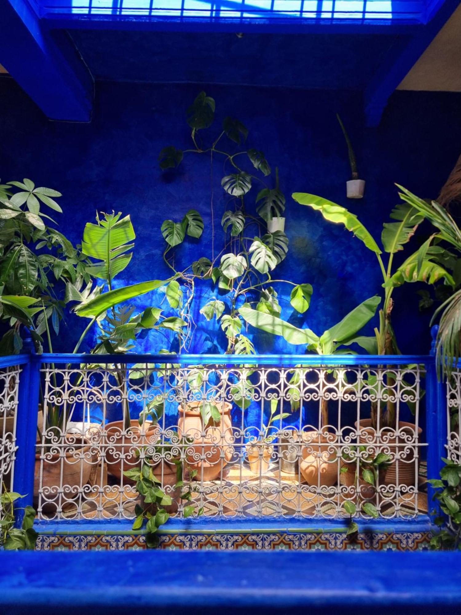 מלון צ'פצ'אוונה Casa Amina מראה חיצוני תמונה